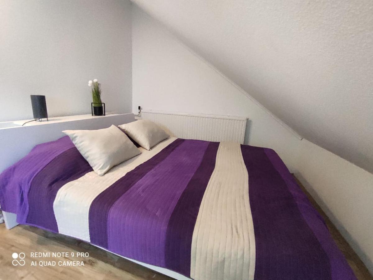 Felho Apartman バラトンフレド エクステリア 写真